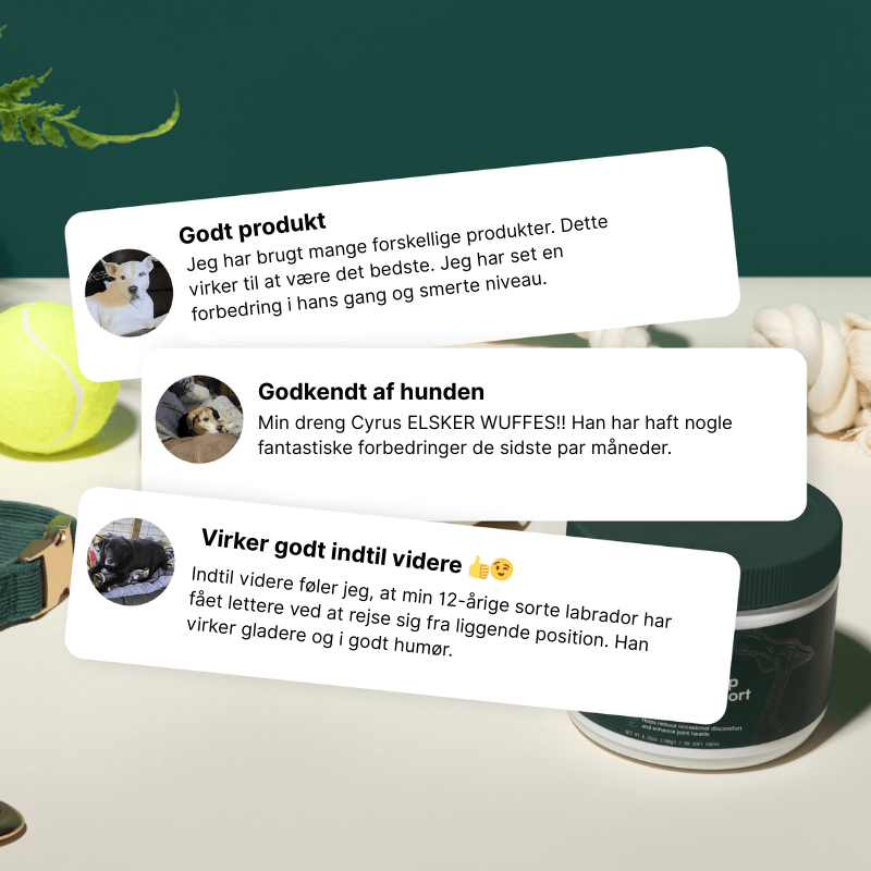 Støtte til leddene - store hunde (over 54 kg)