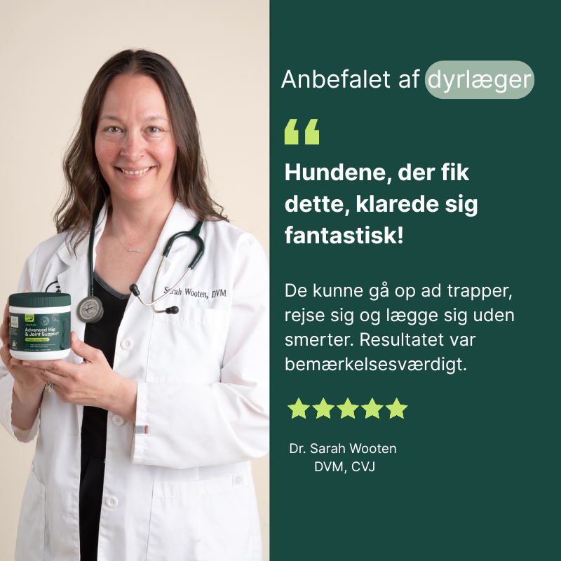 Støtte til leddene - store hunde (over 54 kg)