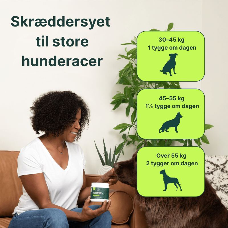 Støtte til leddene - store hunde (over 54 kg)